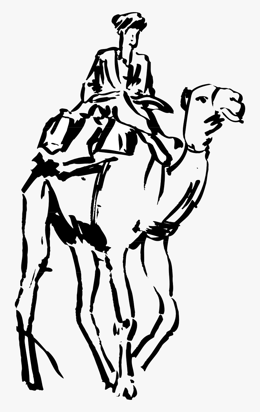 Riding On Camel Drawing, HD Png Download, Free Download
