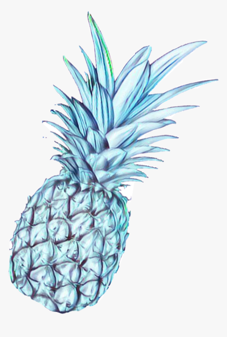 #pineapple #ananas - Pineapple, HD Png Download, Free Download