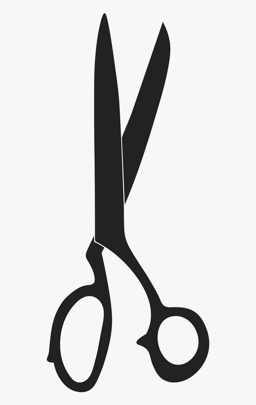 Vectorel Scissors,tailor Scissors,scissors,free Vector - Scissors Vector Png, Transparent Png, Free Download