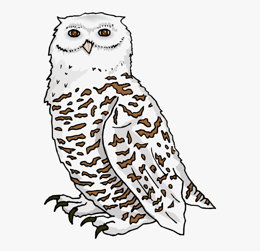 220 Snowy White Owl Stock Vector Illustration And Royalty - Owl, HD Png Download, Free Download