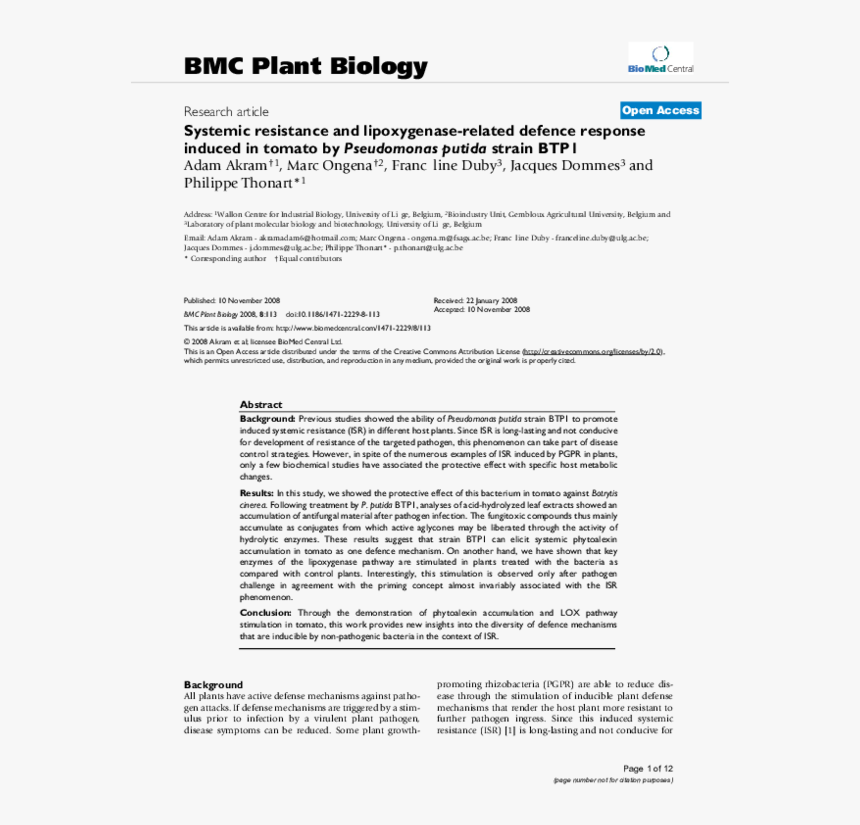 Studying In Groups Vs Studying Alone Research, HD Png Download, Free Download