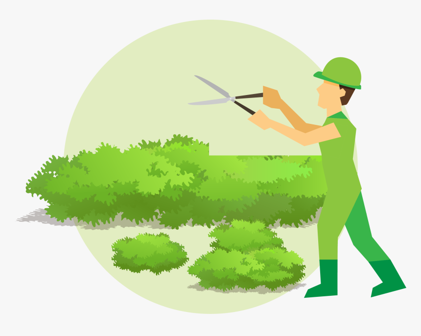 Hedge Cutting Cartoon, HD Png Download, Free Download