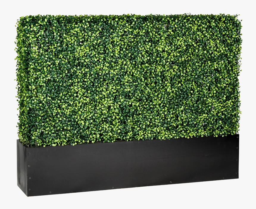 Hedge, HD Png Download, Free Download