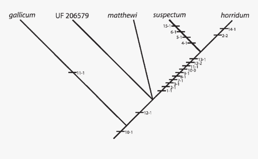 Diagram, HD Png Download, Free Download