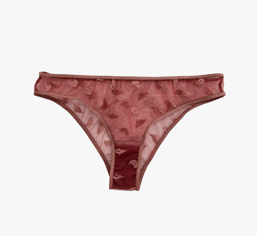 Panties, HD Png Download, Free Download