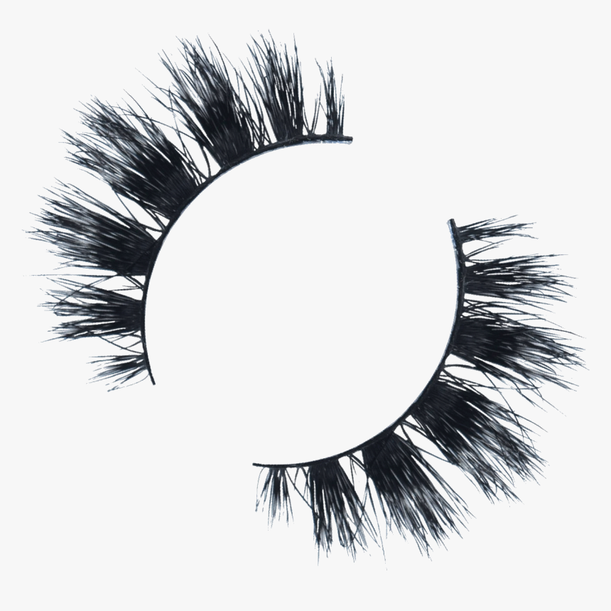 Eyelash Extensions, HD Png Download, Free Download