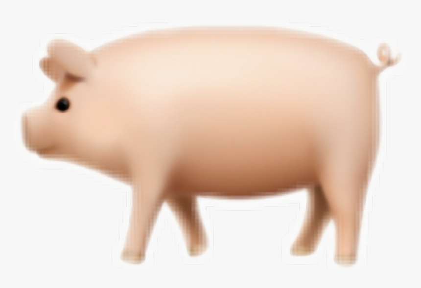 I"ve Completed The Set Of Pig Emojis ❤🐽 - Pig, HD Png Download, Free Download