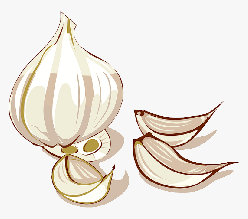 Food, Cartoon, Free, Garlic, Vegetables, Plant - Clove Of Garlic Clipart, HD Png Download, Free Download