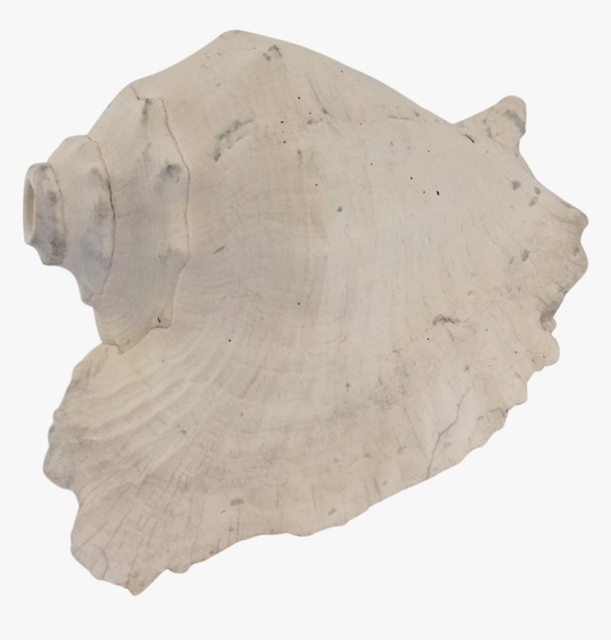 Wood, HD Png Download, Free Download