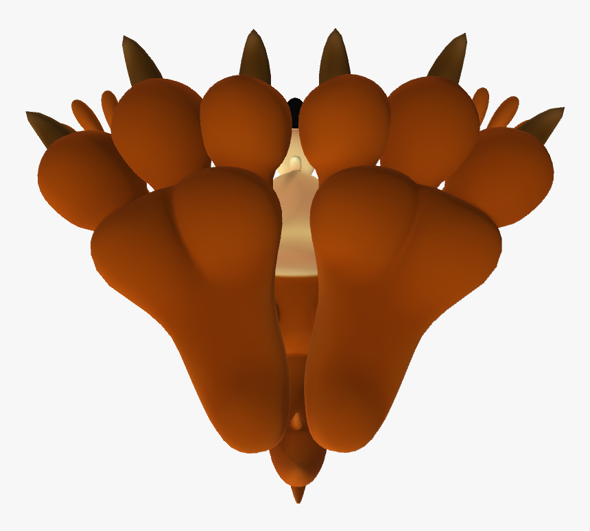 Coyote Feet Close Up 3d - Illustration, HD Png Download, Free Download