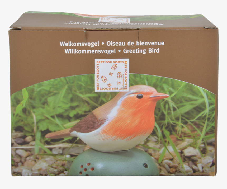 Welcome Birds Ass - European Robin, HD Png Download, Free Download