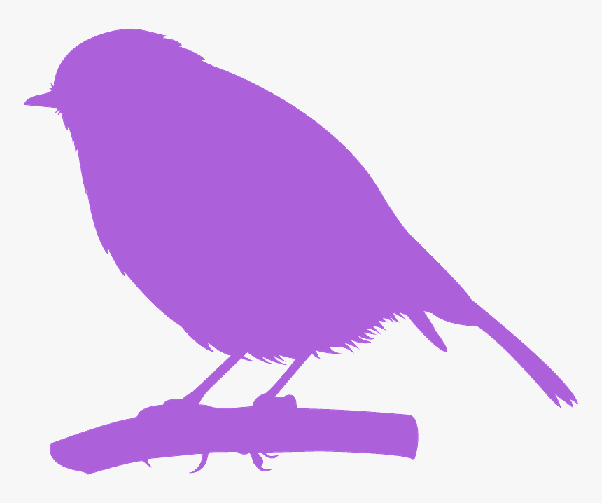 Birds, HD Png Download, Free Download