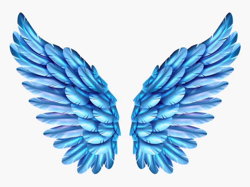 Colorful Angel Wings Png, Transparent Png, Free Download