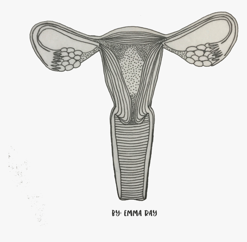 Transparent Black Smear Png - Sketch, Png Download, Free Download