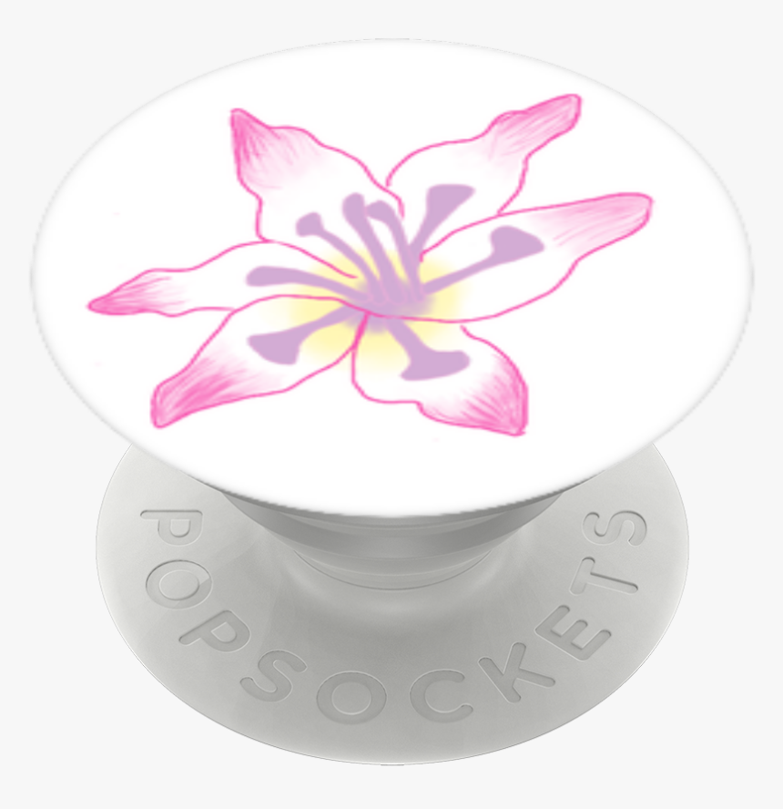 Gladiolus Flower, Popsockets - Lily, HD Png Download, Free Download
