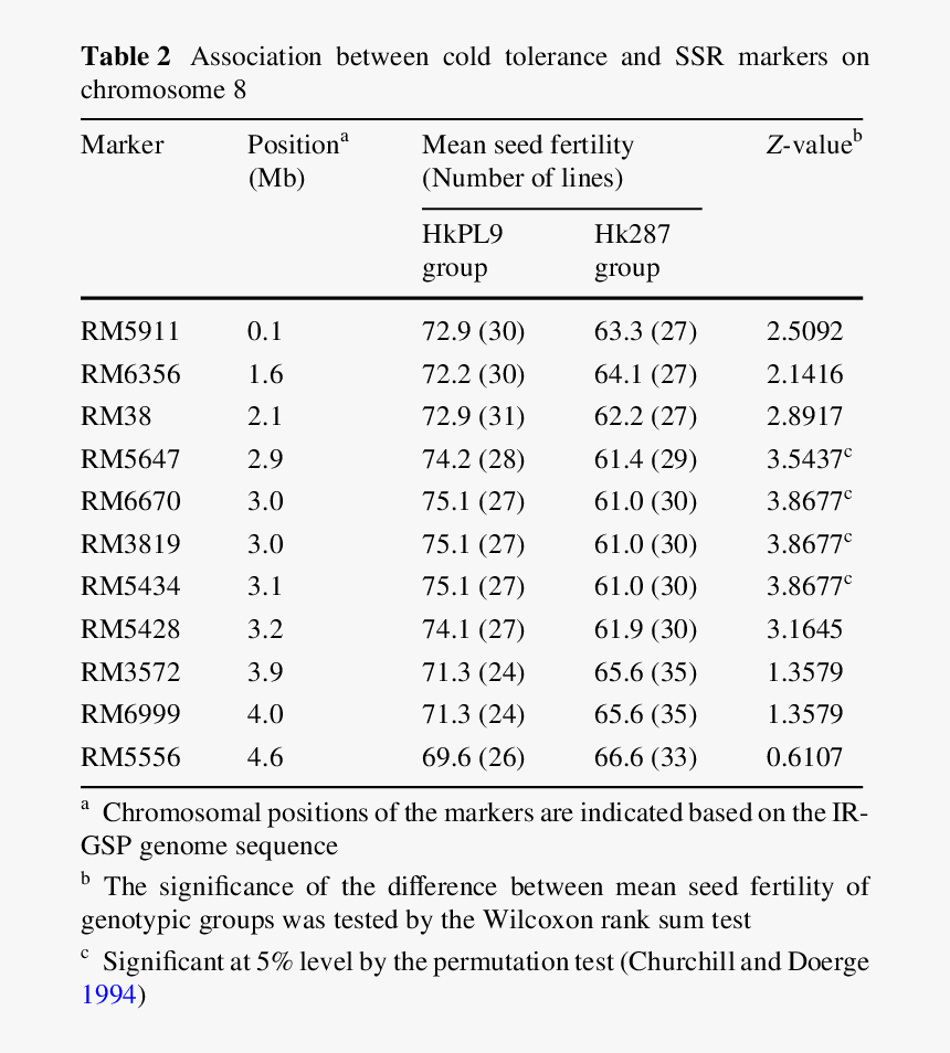 Document, HD Png Download, Free Download