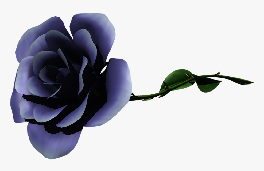 Flower, HD Png Download, Free Download