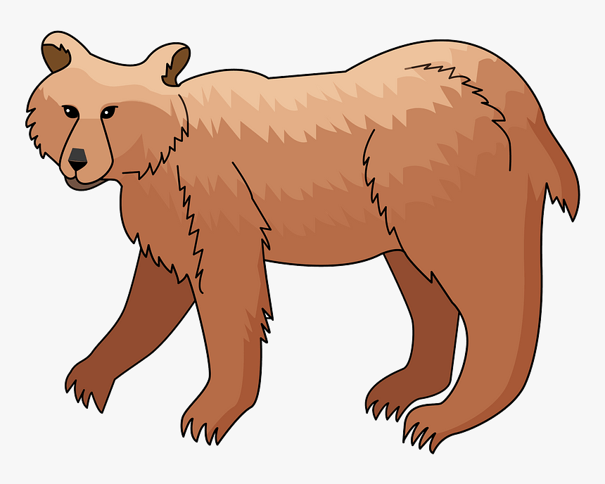 Brown Bear Clipart - Grizzly Bear, HD Png Download, Free Download