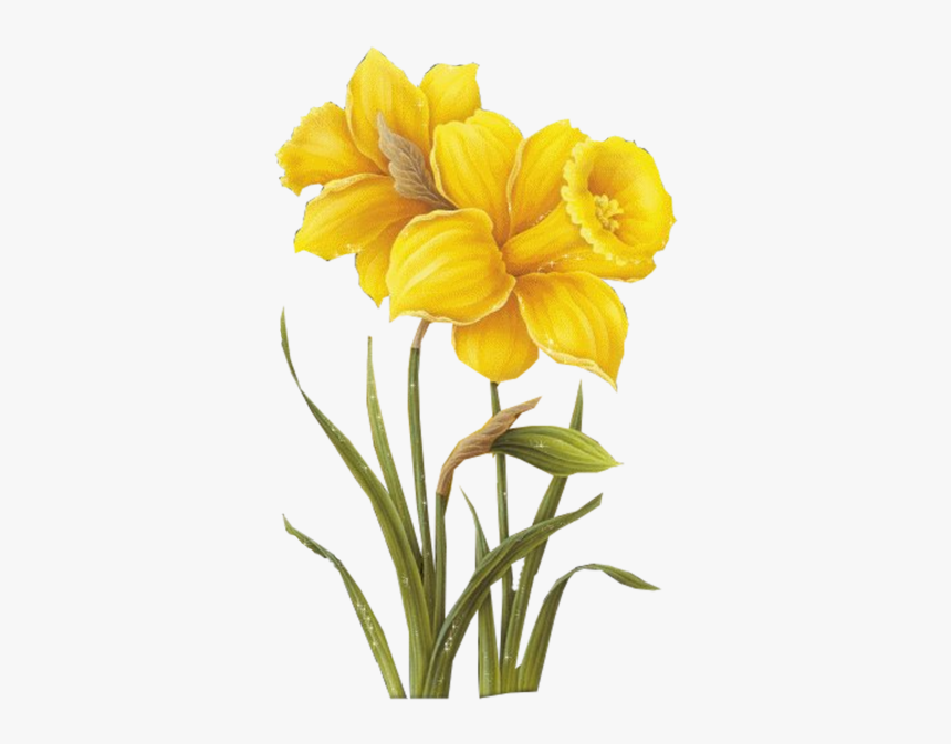 Yellow Flower Drawing, HD Png Download, Free Download