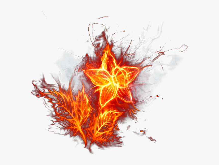 Fire Flower , Png Download - Fire Flower Png, Transparent Png, Free Download