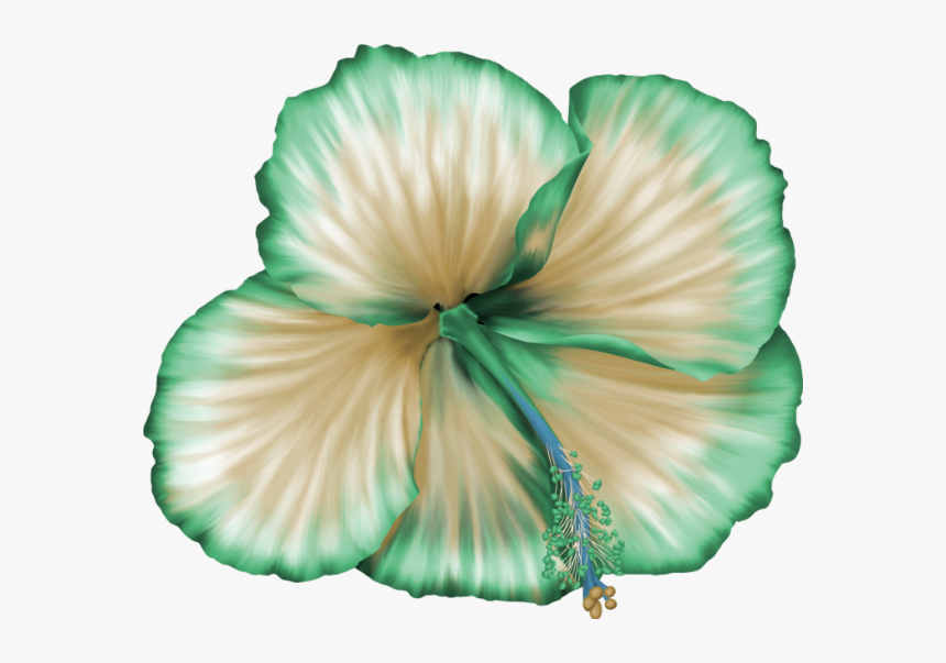 Flower, Png Download - Ivory, Transparent Png, Free Download