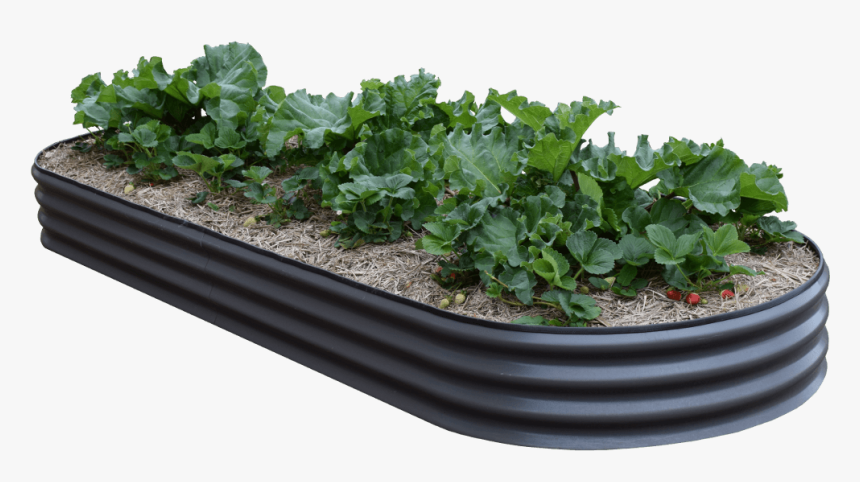 Waterline Tanks Supply Genuine Bluescope Colorbond - Colorbond Raised Garden Beds, HD Png Download, Free Download