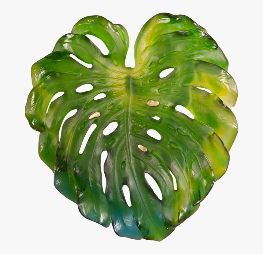 Monstera Large Wall Leaf , Png Download - Swiss Cheese Plant, Transparent Png, Free Download