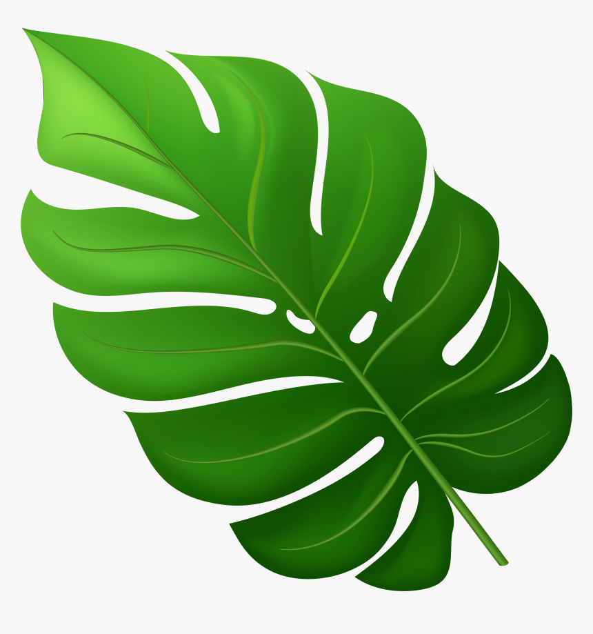 Tropical Leaf Png Clipart, Transparent Png - kindpng
