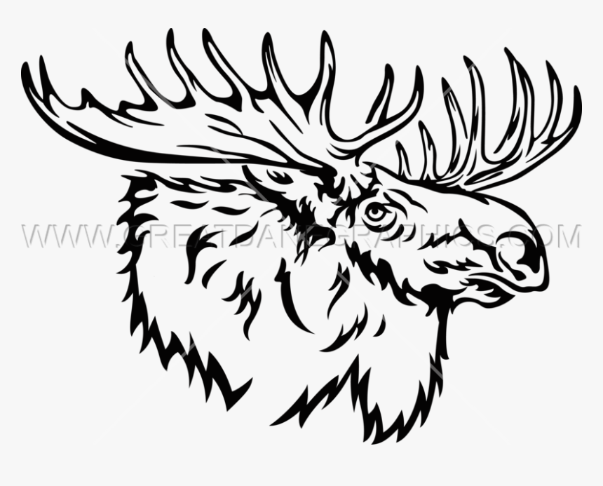 Moose Line Art Drawing Black And White Clip Art - Moose Head Line Art, HD Png Download, Free Download