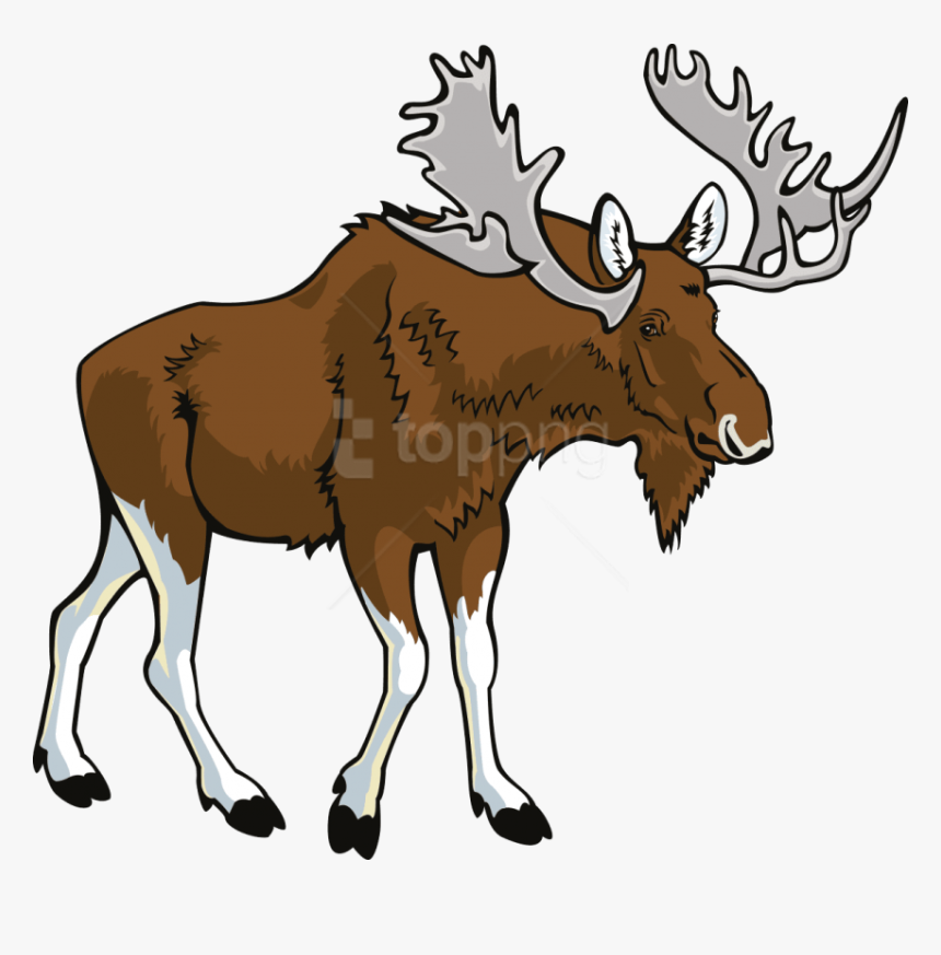 Download Moose Png Images Background - Moose Clipart Png, Transparent Png, Free Download