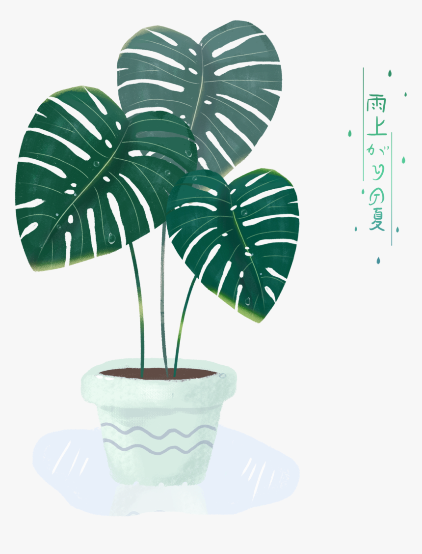 Transparent Monstera Leaf Png - Portable Network Graphics, Png Download, Free Download