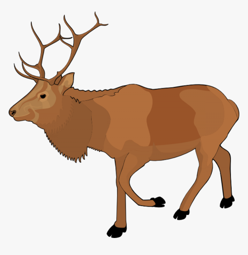 Standing Moose Clipart Png Image - Elk Clipart, Transparent Png, Free Download