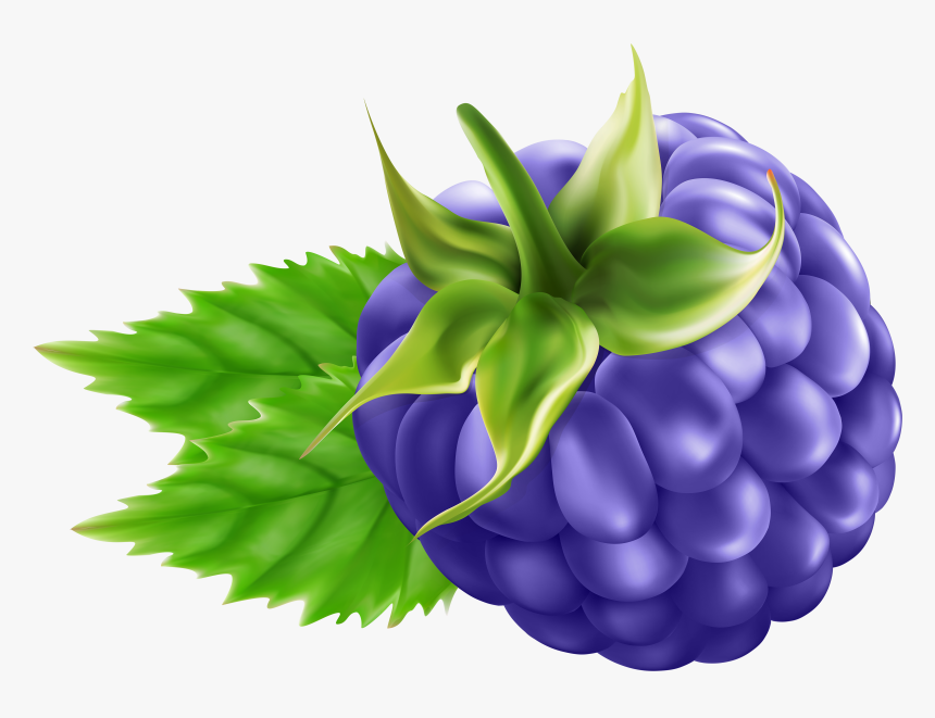 Blackberry Transparent Png Clip Art - Blackberry Fruit Png Clipart, Png Download, Free Download