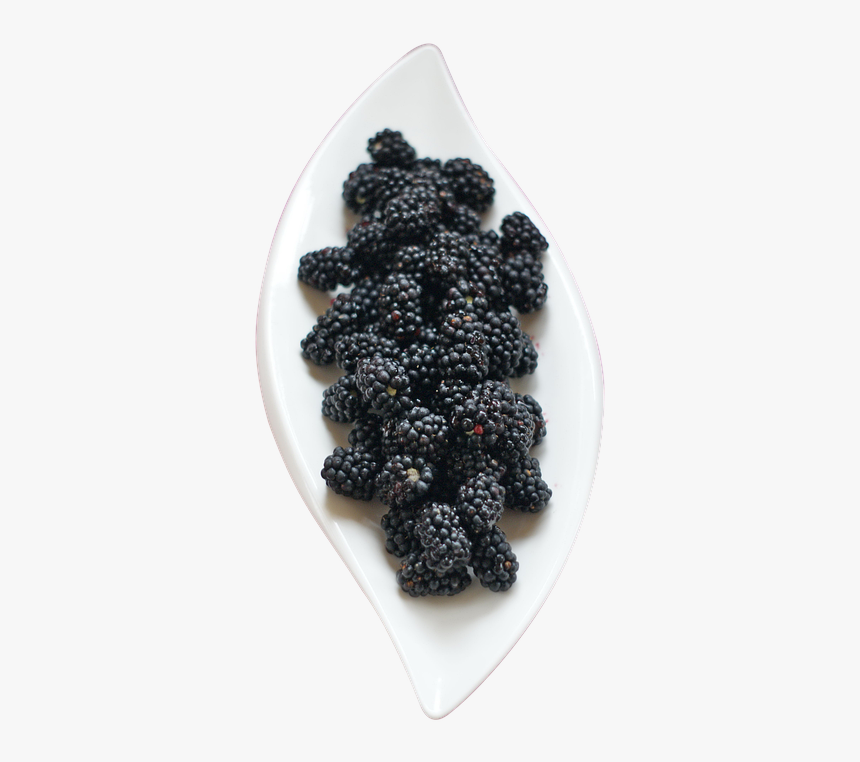 Blackberry, HD Png Download, Free Download