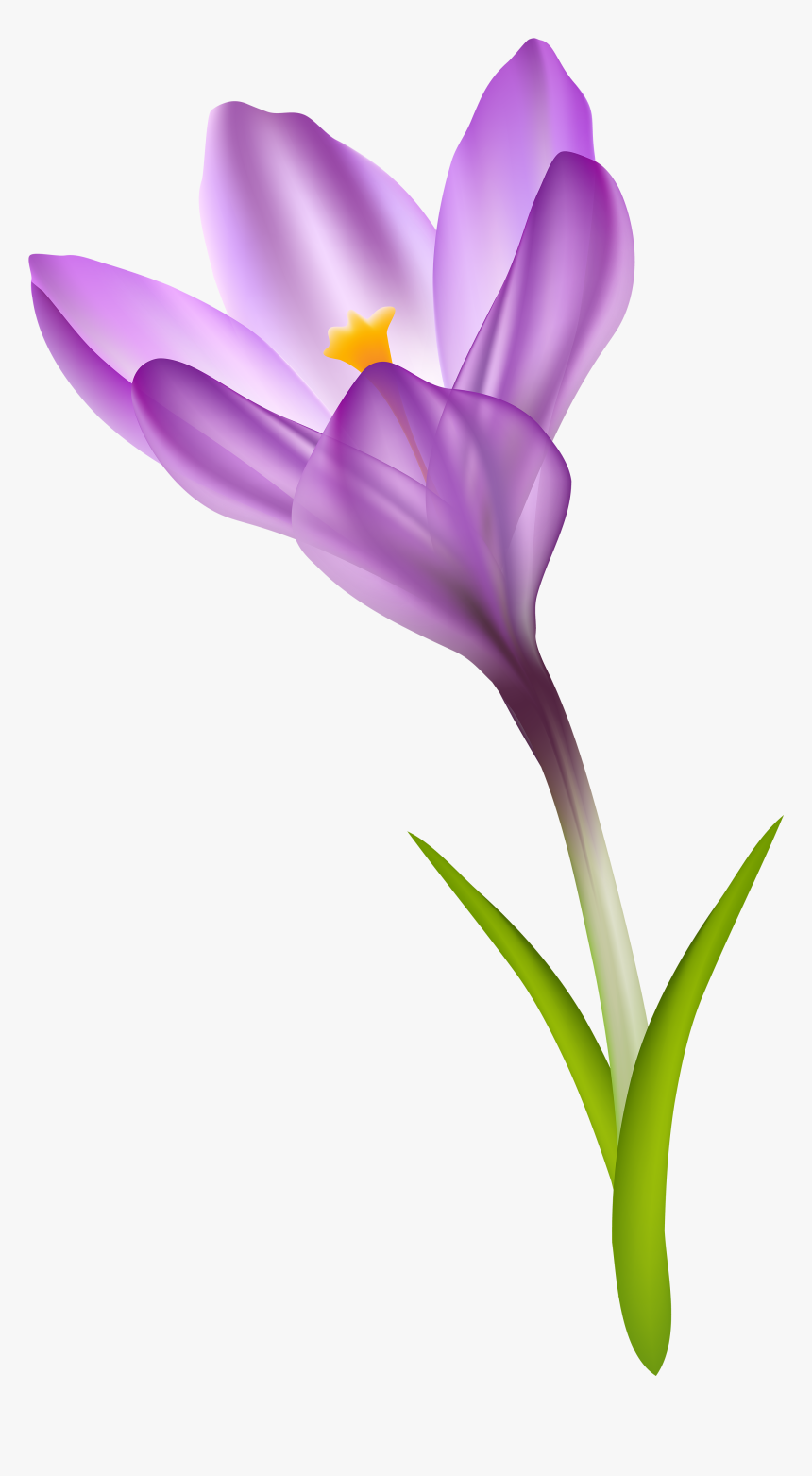 Spring Crocus Transparent Png Clip Art Image​ - Crocus Clipart, Png Download, Free Download