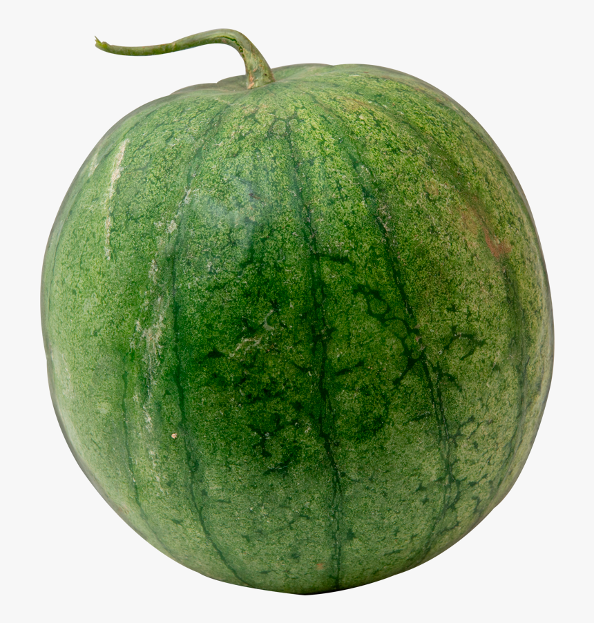 Watermelon, HD Png Download, Free Download