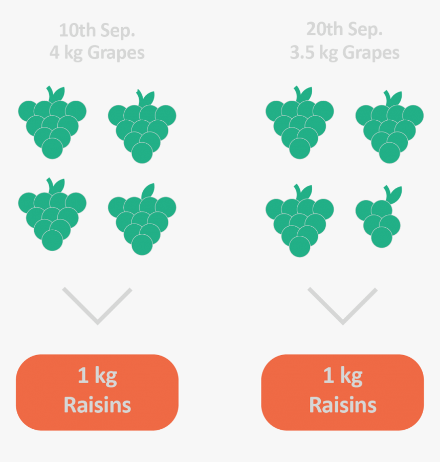 Zoo La Palmyre, HD Png Download, Free Download