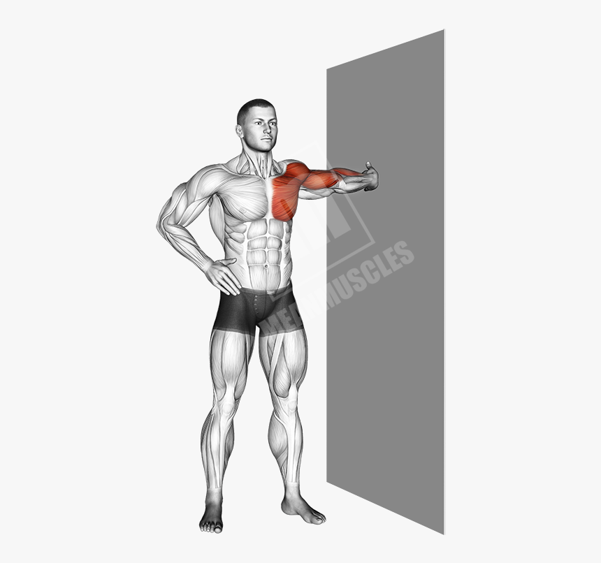 Bicep Stretch, HD Png Download, Free Download