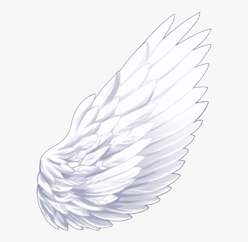 #wings #wing #angelwings #angel #aesthetic #aesthetictumblr - Hero Tail Lights Meme Gacha, HD Png Download, Free Download
