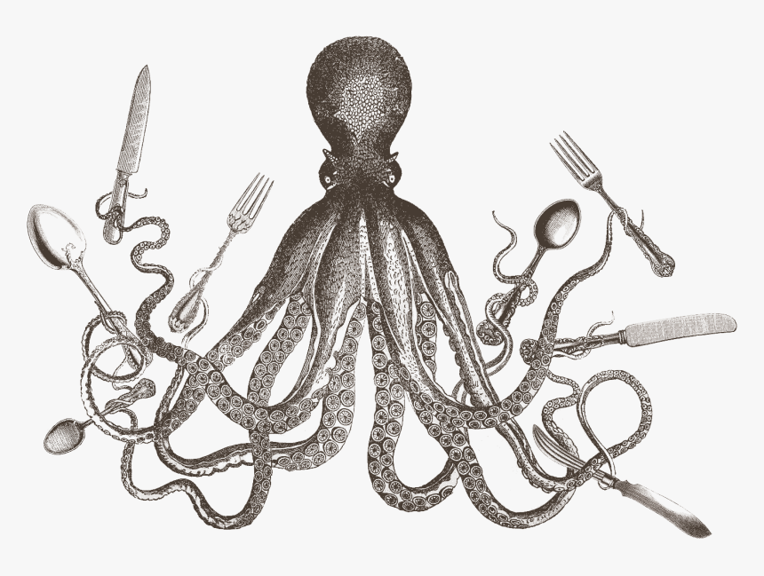 Octopus, HD Png Download, Free Download