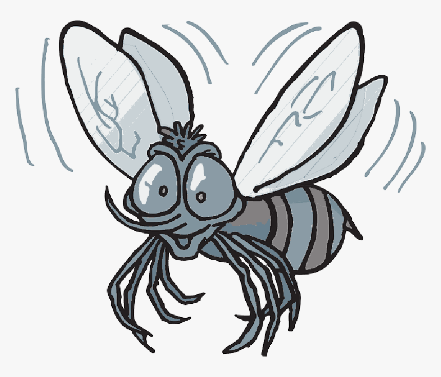 Mosquito, Cartoon, Bee, Flying, Insect, Buzzing, Fly - Cartoon Mexican Fruit Fly, HD Png Download, Free Download