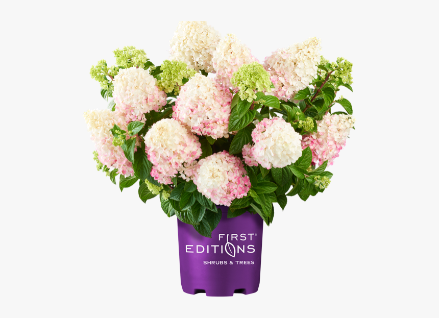 Bouquet, HD Png Download, Free Download