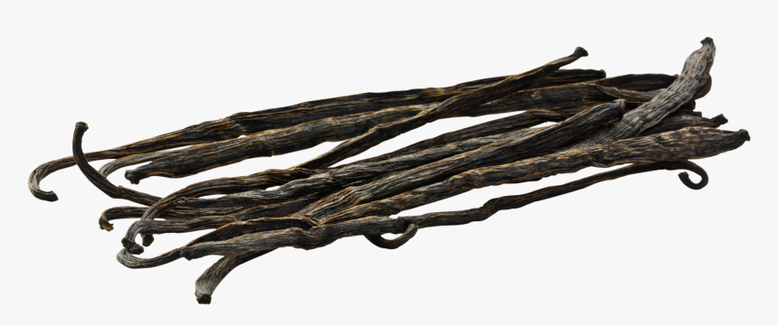 Organic Vanilla Pods Grade A - Twig, HD Png Download, Free Download