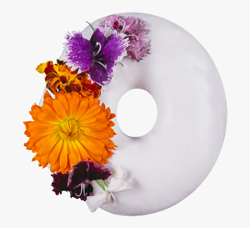 Transparent Vanilla Flower Png - Barberton Daisy, Png Download, Free Download