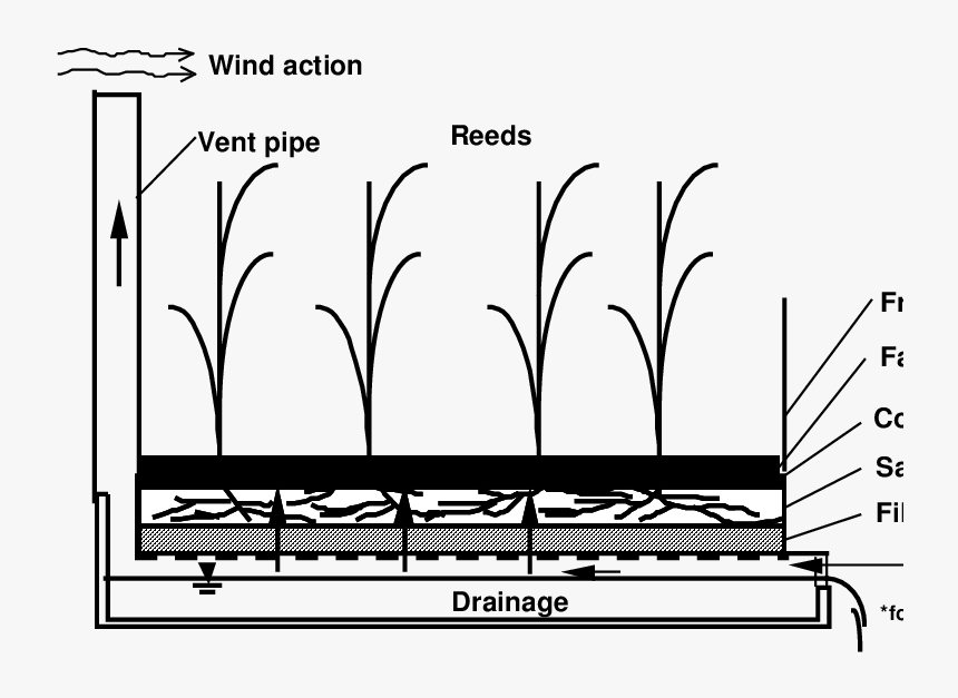 Diagram, HD Png Download, Free Download