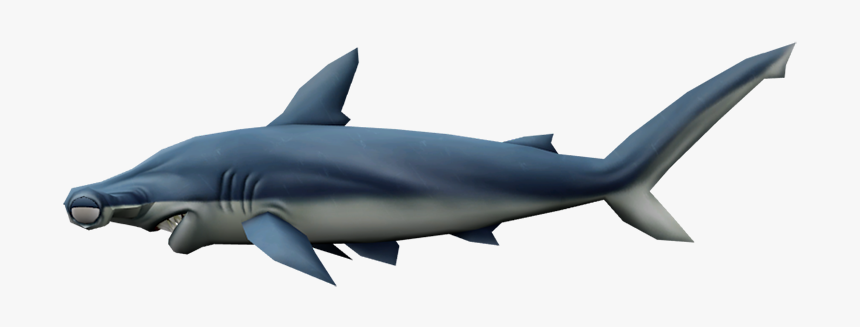 Download Zip Archive - Great White Shark, HD Png Download, Free Download