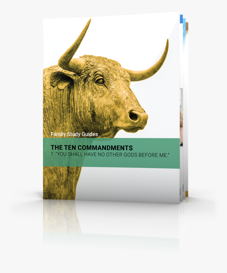 The First Commandment - Bull, HD Png Download, Free Download