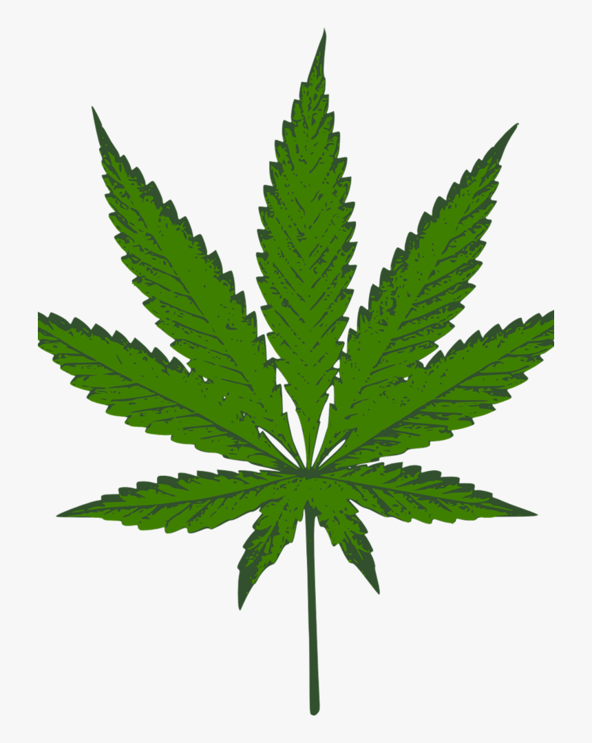 Medical Marijuana Is Legal In Arizona - Gambar Kartun Daun Ganja, HD Png Download, Free Download