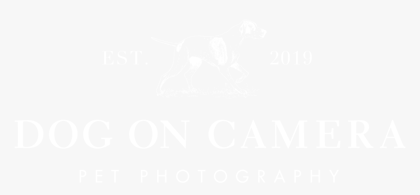 Logo - Johns Hopkins Logo White, HD Png Download, Free Download