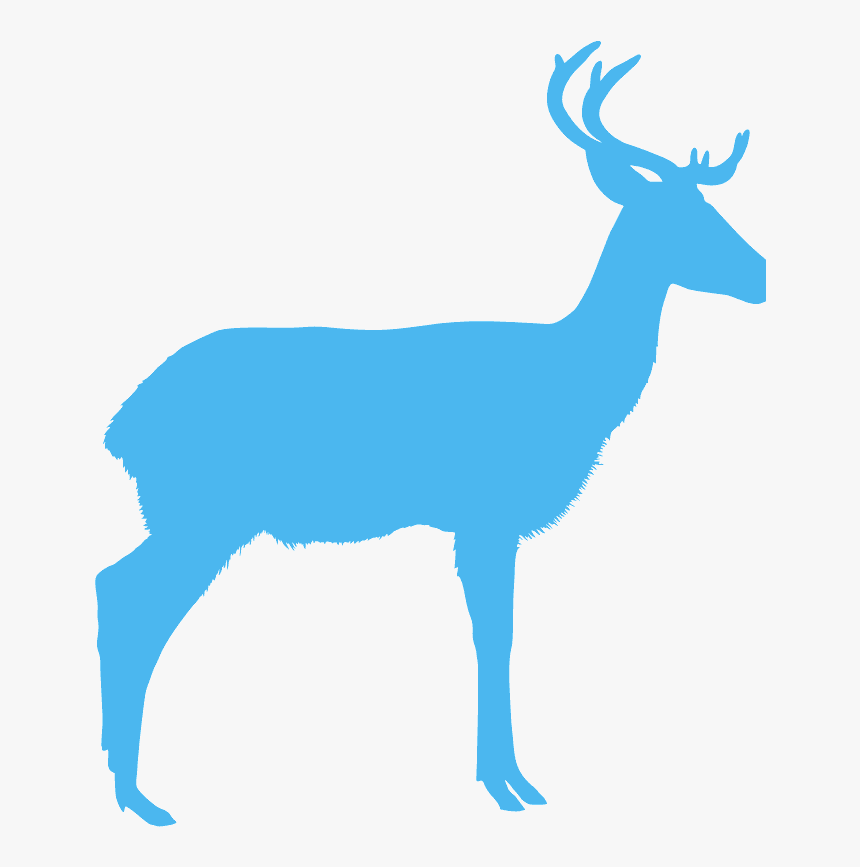 Silhouette, HD Png Download, Free Download